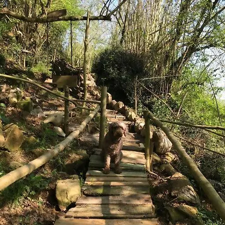 La Fontana, Descubre Cabarceno Y Cantabria Semesterbostad Villacarriedo