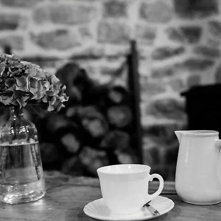 Nyaraló La Fontana, Descubre Cabarceno Y Cantabria