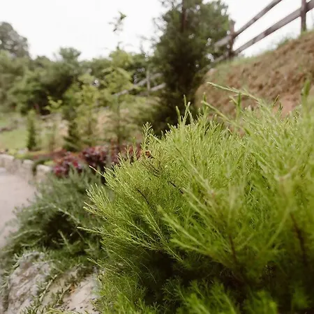 La Fontana, Descubre Cabarceno Y Cantabria * Villacarriedo