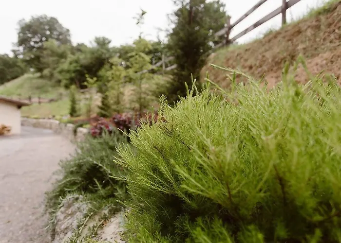 La Fontana, Descubre Cabarceno Y Cantabria * Villacarriedo
